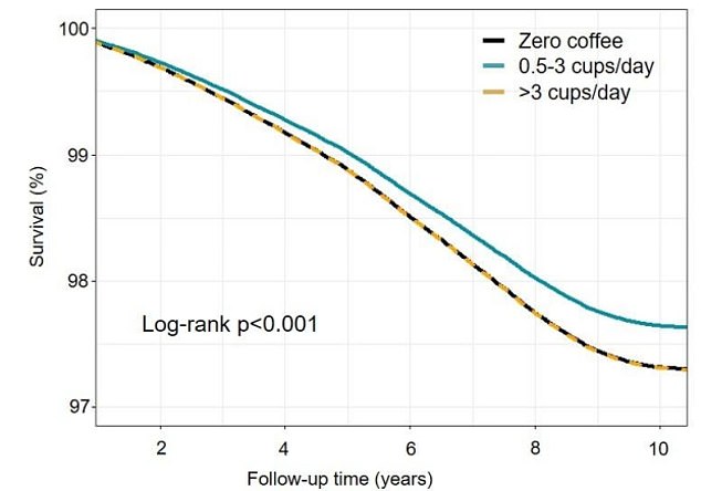 Die Grafik zeigt das Risiko, an allen Ursachen zu sterben, abhängig davon, ob die Studienteilnehmer keinen Kaffee (schwarze Linie), eine halbe bis drei Tassen pro Tag (blaue Linie) oder mehr als drei Tassen pro Tag (schwarze Linie) getrunken haben.  Die Forscher fanden heraus, dass diejenigen, die zwischen 0,5 und drei Tassen pro Tag tranken, am Ende der 11-jährigen Studie ein um 12 Prozent geringeres Sterberisiko hatten als Nicht-Kaffeetrinker
