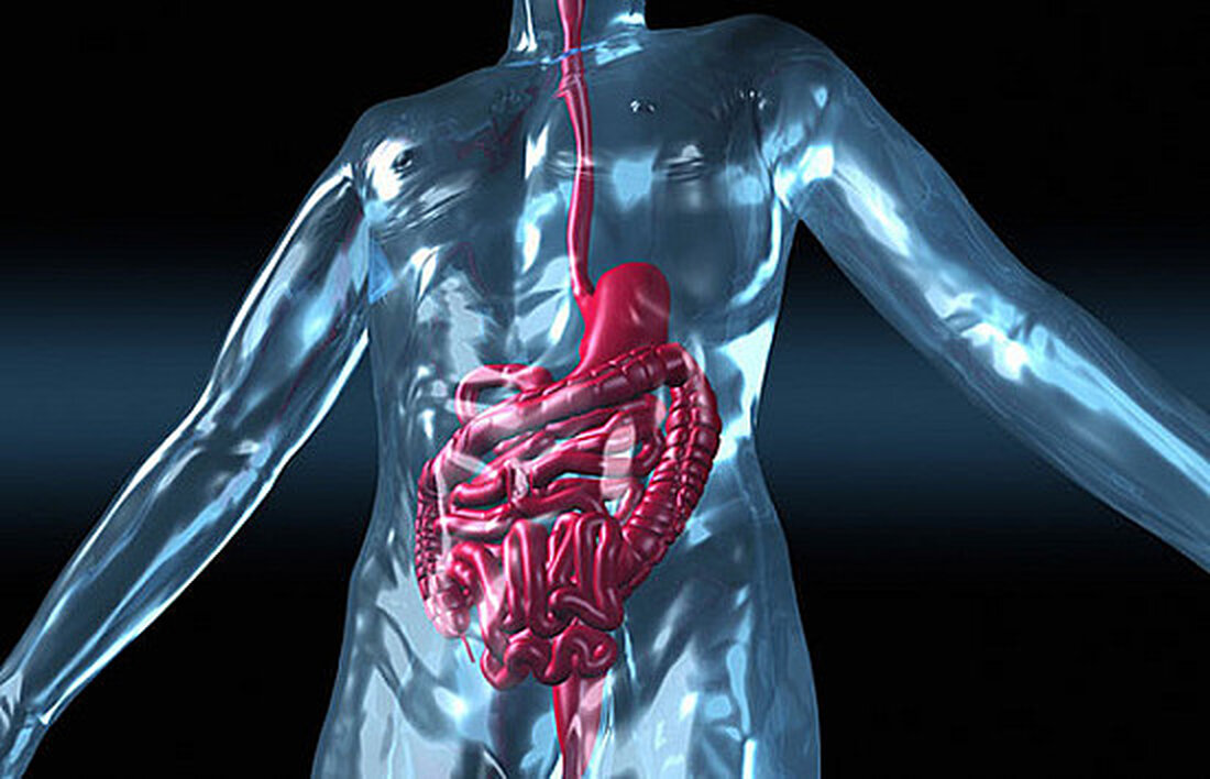 Extraintestinale Manifestationen von IBD können ein Hinweis auf die Diagnose oder Behandlungsanpassung sein. Chronisch entzündliche Darmerkrankung (IBD) ist eine Form der chronischen Entzündung des Magen-Darm-Trakts. Colitis ulcerosa, die durch eine kontinuierliche Entzündung des Dickdarms gekennzeichnet ist, und Morbus Crohn, der Entzündungsflecken verursacht und überall im Magen-Darm-Trakt auftreten kann, sind beide Arten von CED. Patienten mit IBD können eine Vielzahl von Magen-Darm-Symptomen wie Bauchschmerzen, Durchfall, Blut im Stuhl, Blähungen und Gewichtsverlust erfahren. Welche Erkrankungen können außerhalb des Magen-Darm-Trakts bei Menschen mit CED auftreten? CED-Symptome können sowohl innerhalb als auch außerhalb des Magen-Darm-Trakts auftreten. Letztere sind als extraintestinale Manifestationen (EIMs) von CED …