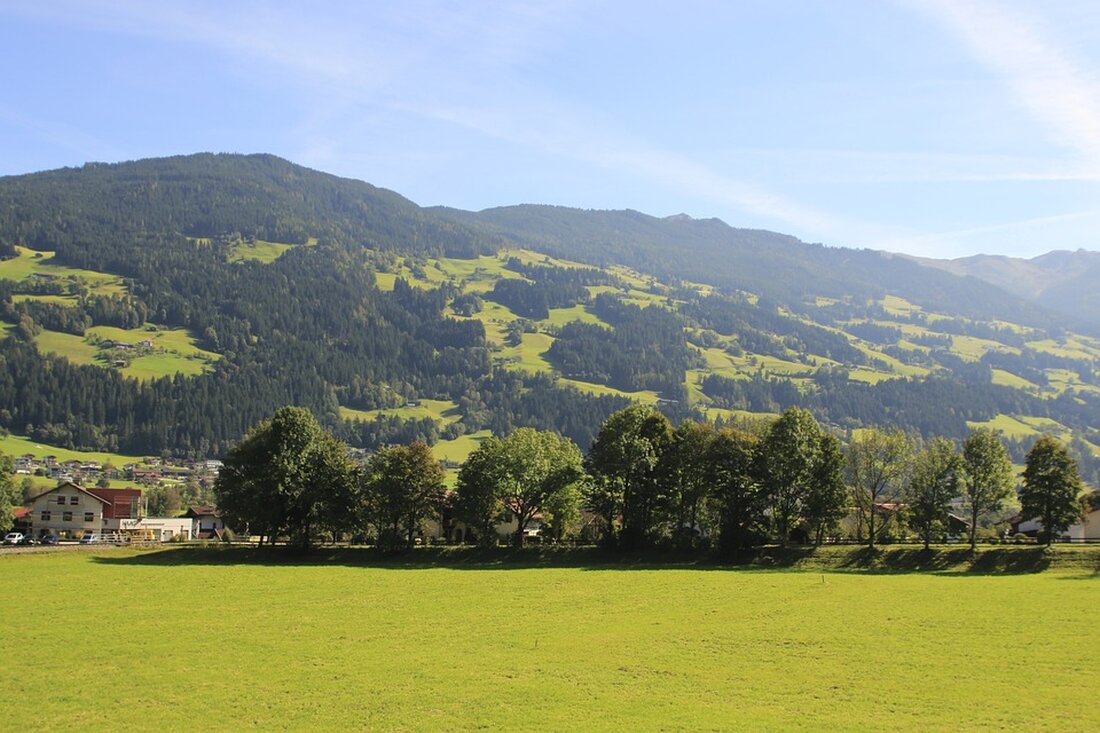 Neue Überlegungen zu Meldepflichtgesetzen zum Schutz von Kindern in Colorado und anderen Bundesstaaten. Erfahren Sie, warum Gesetzesänderungen kontrovers diskutiert werden.