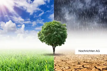Gesunde Ernährung senkt Krebsrisiko um 12% – Wissenschaftler warnen!