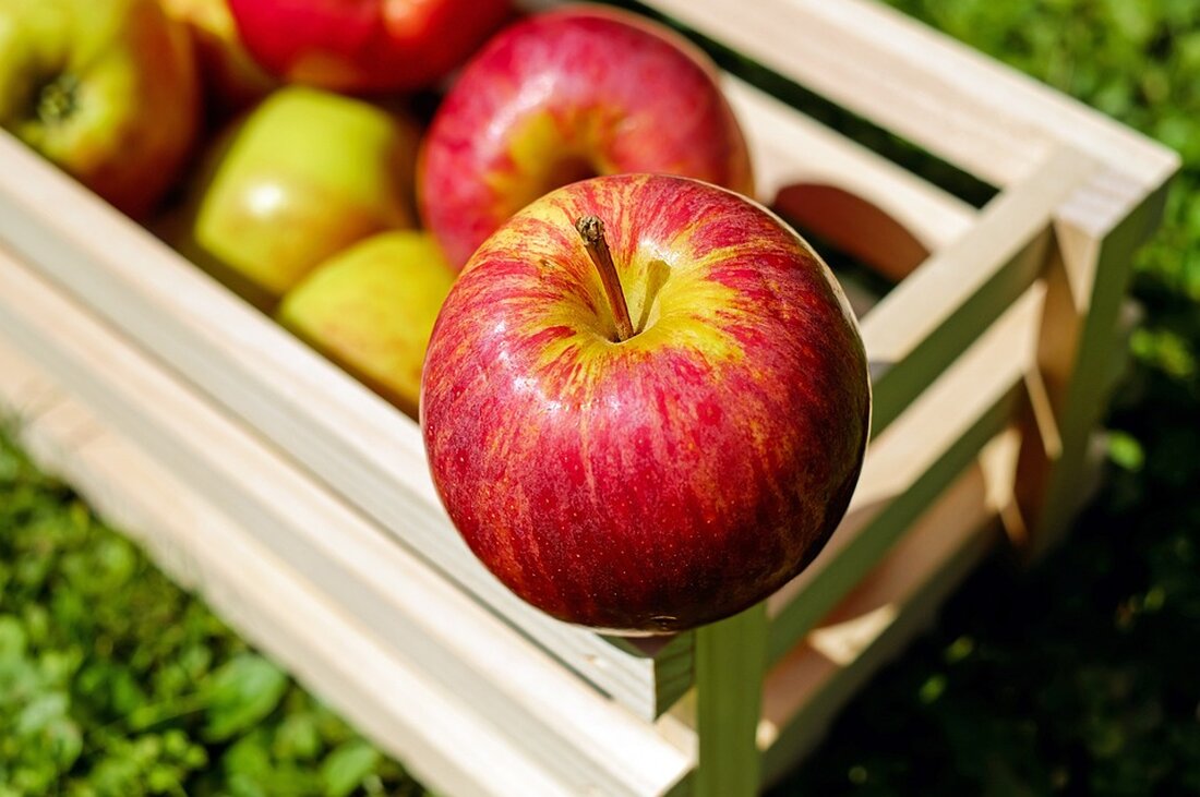 Eine aktuelle Studie zeigt, dass Äpfel und Beeren das Demenzrisiko senken können. Erfahren Sie mehr über die gesundheitsfördernden Früchte und ihre Wirkung.