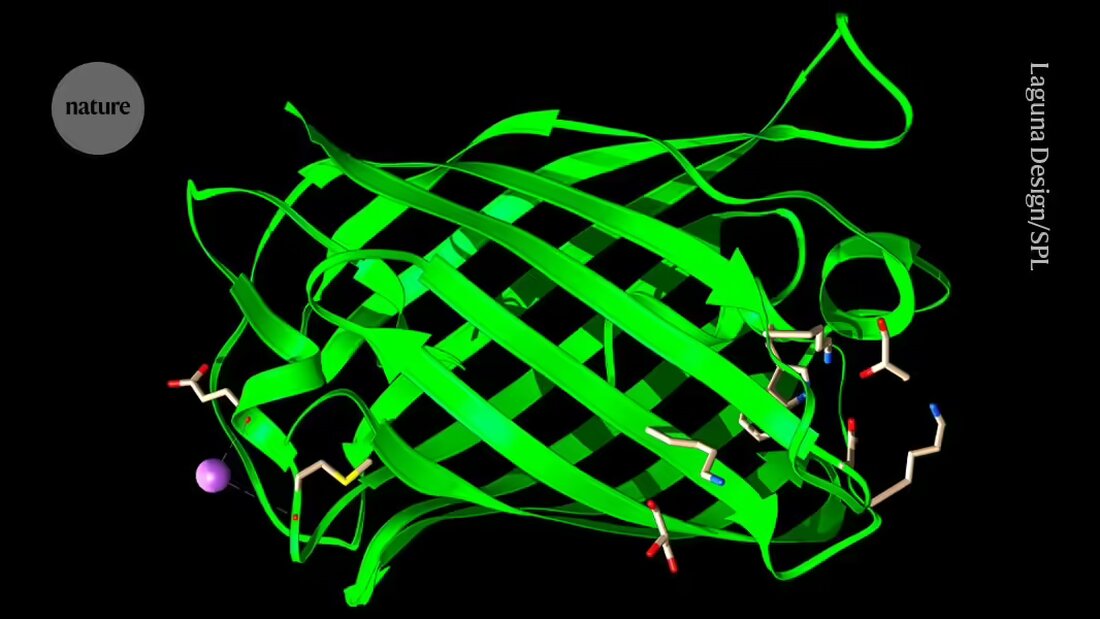 Ein künstliche Intelligenz-Modell, das die Sprache der Proteine spricht, wurde entwickelt, um neue fluoreszierende Moleküle zu erstellen. Erfahren Sie mehr über die bahnbrechende Arbeit von EvolutionaryScale in der Proteindesign-Industrie.