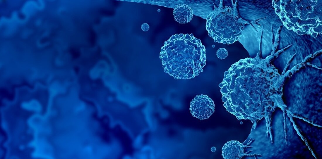 In einer kürzlich veröffentlichten Studie in Naturentwickelten die Forscher einen Arbeitsablauf zur Kartierung genetischer Klone, der sich auf die Technologie der basenspezifischen In-situ-Sequenzierung (BaSISS) konzentriert, um quantitative Karten mehrerer genetischer Klone von Krebszellen abzuleiten. Lernen: Räumliche Genomik bildet die Struktur, Natur und Entwicklung von Krebsklonen ab. Bildnachweis: Lightspring/Shutterstock Hintergrund Krebsartige oder neoplastische Zellen sind dynamische Einheiten, die ihre Wechselwirkungen mit ihrer Mikroumgebung ständig verändern und neu gestalten. Diese Zellen haben mehrere subklonale Populationen, die genetisch verwandte, aber unterschiedliche Gruppen von Zellen sind. Genomische Technologien wie die Gesamtgenomsequenzierung (WGS) haben zwar Subklone entdeckt, scheinen jedoch nicht in der Lage zu sein, &hellip;