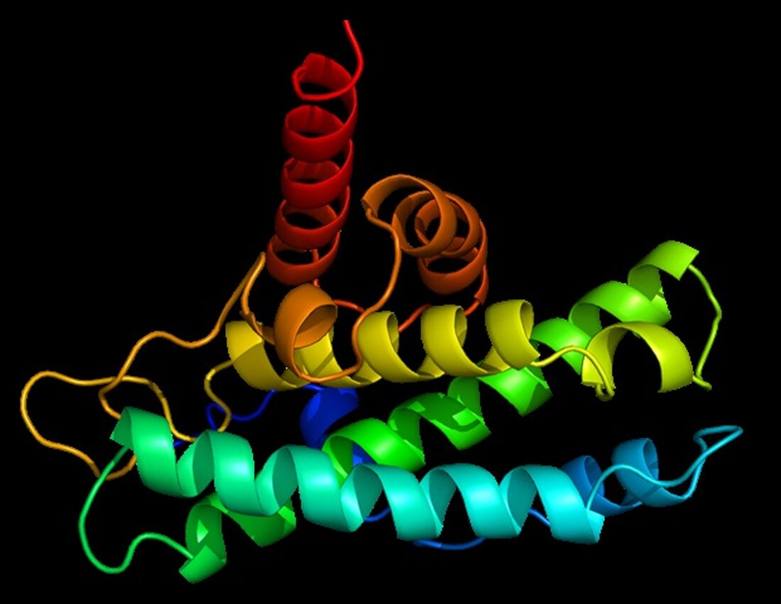 Durch eine internationale gemeinsame Forschungsanstrengung, an der ProQR Therapeutics aus den Niederlanden, die Université Grenoble Alpes aus Frankreich und das KTH Royal Institute of Technology of Sweden beteiligt sind, wurde das Forschungsteam von Professor Ji-Soon Song in der Abteilung für Biowissenschaften und dem KAIST-Institut für BioCentury von KAIST gegründet eine edle Strategie zur Behandlung der Huntington-Krankheit. Die neuen Arbeiten zeigten, dass das Protein, das von der Krankheitsform in seine krankheitsfreie Form umgewandelt wurde, seine ursprüngliche Funktion beibehält und neue Hindernisse für die Annäherung an die Huntington-Krankheit bietet. Diese von Hyeongju Kim mitverfasste Studie mit dem Titel „Eine pathogene-proteolyseresistente Huntingtin-Isoform, die …