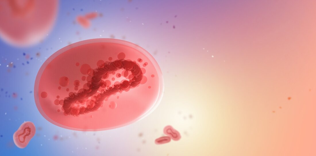 In einer aktuellen Studie veröffentlicht in Die Lancet-InfektionskrankheitenForscher beschrieben Patienten mit einer Infektion mit dem Affenpockenvirus (MPXV). Studie: Viruslasten in klinischen Proben von Männern mit einer Affenpockenvirus-Infektion: eine französische Fallserie. Bildquelle: FOTOGRIN/Shutterstock Affenpocken (MPX) sind eine Zoonose, die erstmals Ende der 1950er Jahre bei Affen festgestellt wurde. Der erste Fall von MPX beim Menschen betraf 1970 ein Kind aus der Demokratischen Republik Kongo. MPXV verursacht eine Pockenähnliche Krankheit, weist jedoch eine niedrigere Sterblichkeitsrate bei Fällen auf, die nach dem Jahr 2000 gemeldet wurden. MPX ist in Zentral- und Westafrika endemisch, obwohl in Ländern mit hohem Einkommen aufgrund internationaler Reisen und …