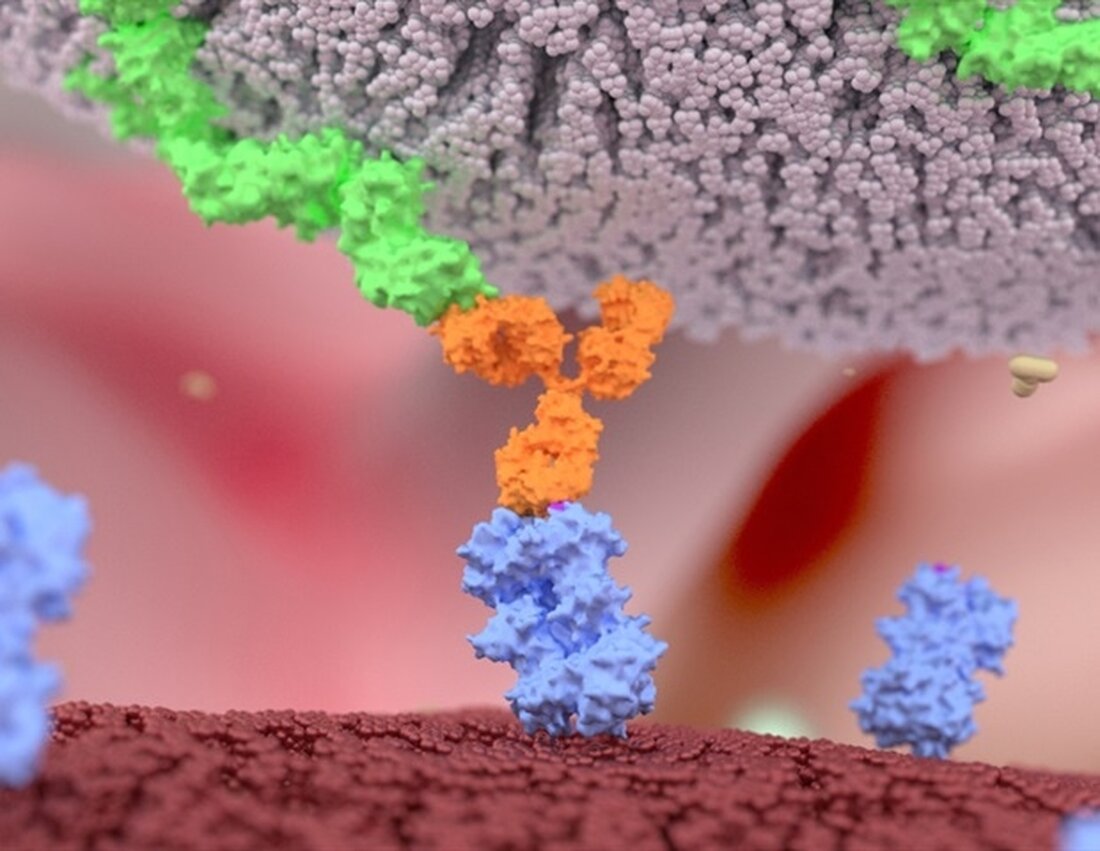 Monon Bioventures LLC hat vom National Cancer Institute ein einjähriges Phase-I-Stipendium für Small Business Innovation Research (SBIR) in Höhe von 398.314 US-Dollar erhalten, um die Machbarkeit der Herstellung eines Glioblastom-Therapeutikums zu demonstrieren, das am Purdue University College of Pharmacy entwickelt wurde. „Das Glioblastom ist eine der aggressivsten Krebsarten des zentralen Nervensystems. Es wächst, vermehrt sich und breitet sich schnell aus, ist fast immer tödlich und es gibt keine wirksame Heilung. Neue, wirksame Therapien werden dringend benötigt“, sagte Sandro Matosevic, der Assistent Professor in der Abteilung für industrielle und physikalische Pharmazie, der eine potenzielle Behandlung entwickelt hat, die Monon Bioventures als …