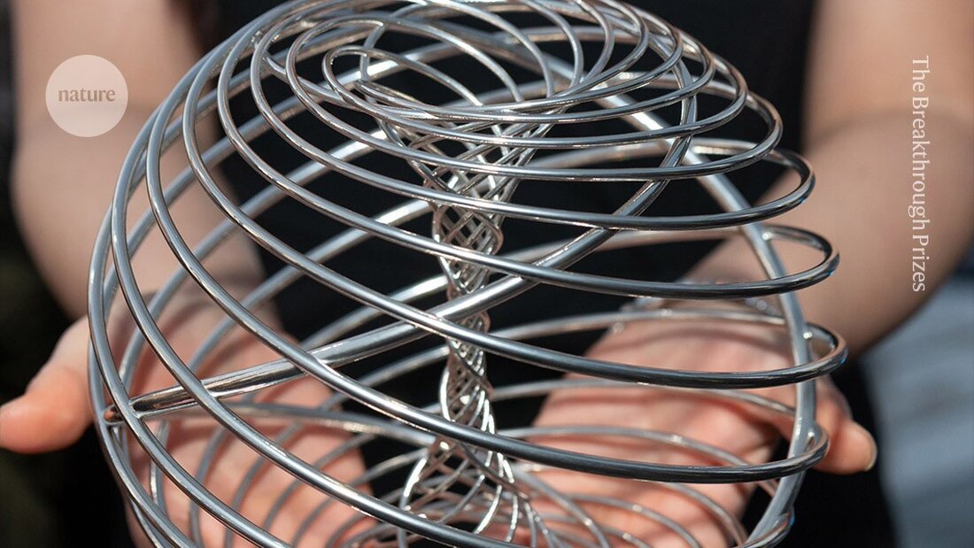 Obesity-Forscher und 13.508 Physiker werden mit den prestigeträchtigen Breakthrough-Prizes in Höhe von 3 Millionen US-Dollar ausgezeichnet.