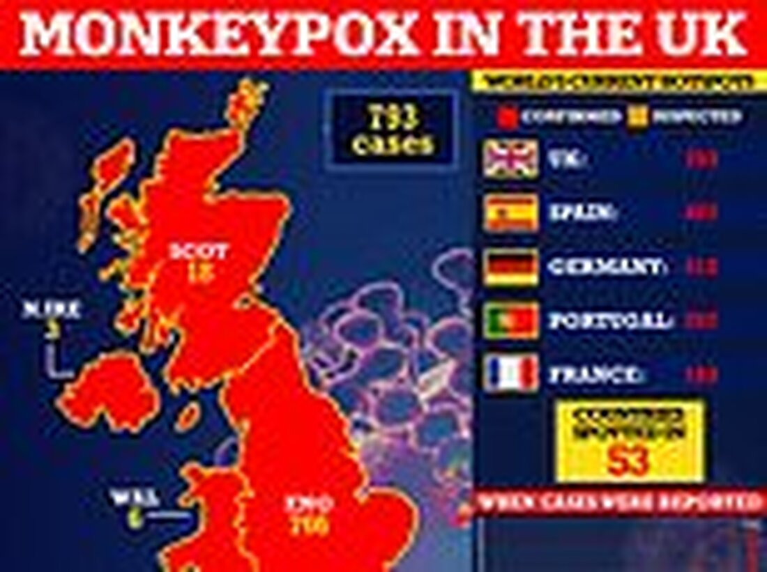 Britische Gesundheitschefs kündigten an, schwulen und bisexuellen Männern mit hohem Risiko den Affenpocken-Impfstoff anzubieten Bei der gezielten Einführung wird der Jab Männern angeboten, die mehrere Partner haben und am Gruppensex teilnehmen Bisher wurde der Imvanex-Impfstoff nur Fällen und engen Kontakten im Rahmen der Ringimpfstrategie angeboten Großbritannien hat bisher fast 800 Fälle registriert, von denen fast alle Männer waren, die Sex mit Männern hatten Es kommt, als LSHTM-Wissenschaftler gewarnt haben, dass es „sehr wahrscheinlich“ ist, dass weitere 10.000 Affenpocken-Fälle entdeckt werden Das Modell deutet darauf hin, dass schwule und bisexuelle Männer weiterhin am stärksten von einem Anstieg „unwahrscheinlicher“ externer Gruppen betroffen &hellip;