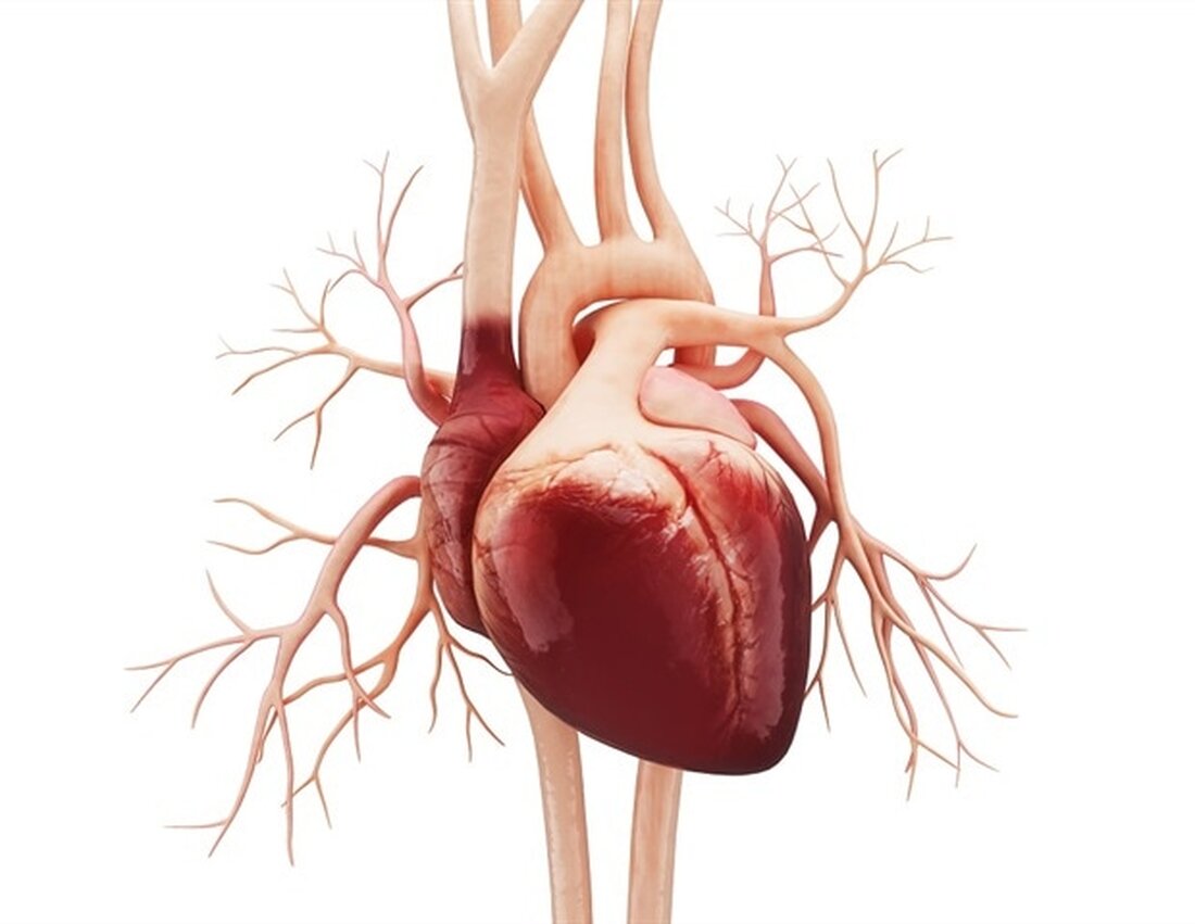 Nur 2 % der Erwachsenen in Indien wissen, wie man eine Herz-Lungen-Wiederbelebung durchführt. Die American Heart Association – die weltweit führende freiwillige Gesundheitsorganisation, die sich für ein längeres, gesünderes Leben für alle einsetzt – und die All India Institutes of Medical Sciences (AIIMS) – eine Gruppe autonomer staatlicher öffentlicher medizinischer Universitäten – arbeiten zusammen, um mehr als 150.000 Menschen auszubilden Studenten, kommunales Gesundheitspersonal und andere in der Öffentlichkeit in mehreren Bundesstaaten Indiens, um diesen Trend umzukehren. Im Vorfeld dieses „World Restart a Heart Day“ wurden bei den ersten Auftaktveranstaltungen Ende August mehr als 800 Menschen geschult. Diese Trainer werden nun …