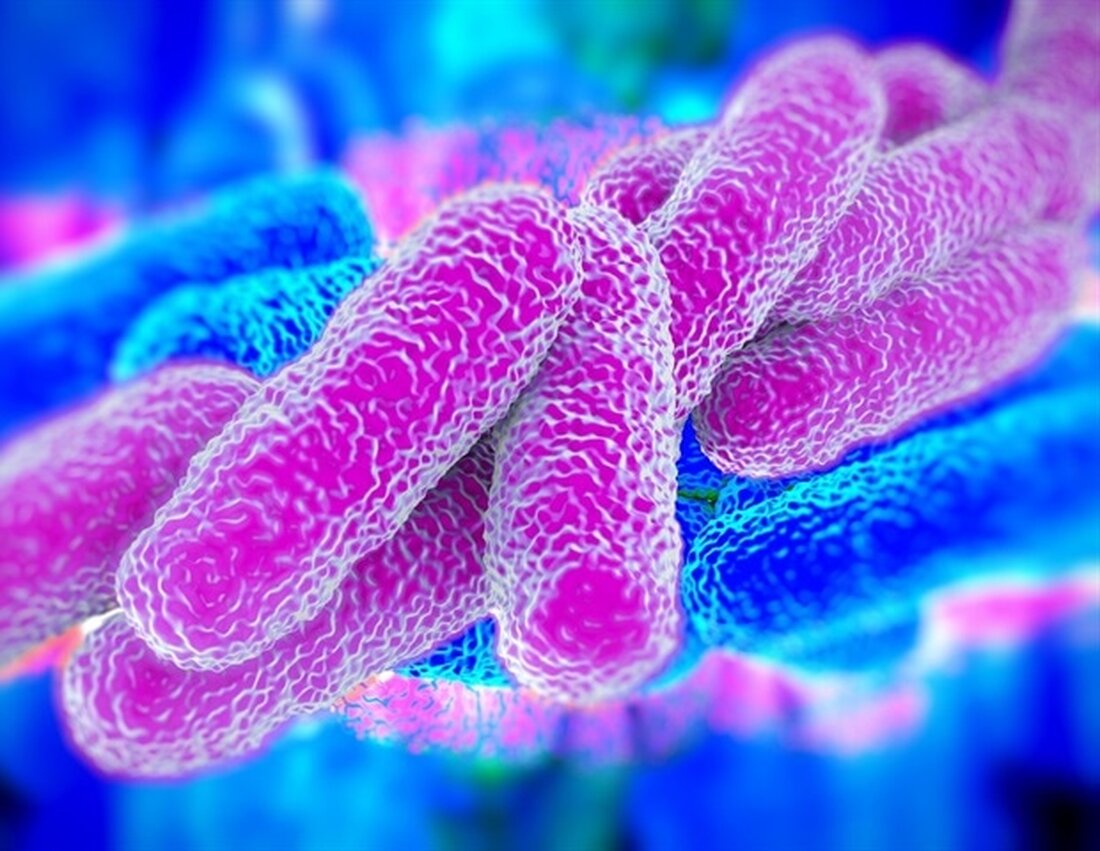Bei einem Patienten, der im September im UW Medical Center-Montlake behandelt wurde, wurde eine Legionella-Pneumonie diagnostiziert, bei der es sich vermutlich um eine gesundheitsbedingte Infektion handelt. Die Diagnose wurde gestellt, nachdem der Patient zur weiteren Pflege in eine andere Einrichtung verlegt wurde. Es wird davon ausgegangen, dass es sich dabei um einen Einzelfall handelt und zum jetzigen Zeitpunkt wurden im UW Medical Center – Montlake keine weiteren Fälle von Legionellen festgestellt. Wir arbeiten eng mit Public Health – Seattle &#038; King County und dem Washington State Department of Health zusammen, um diesen Fall zu untersuchen und die Sicherheit von Patienten &hellip;