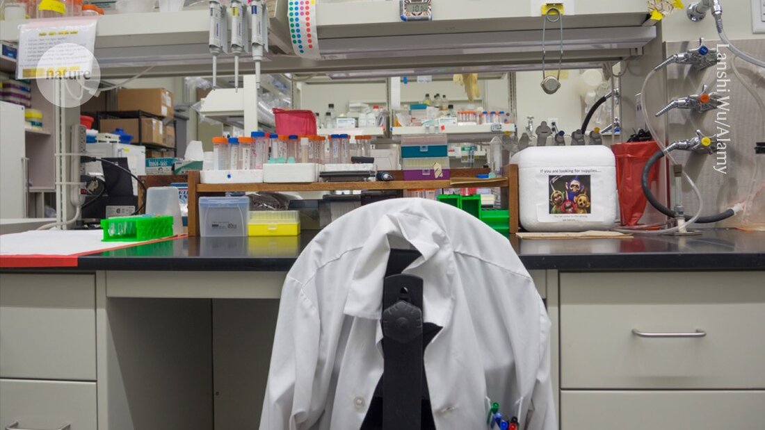 Mehr als 40 % der Postdocs verlassen die Akademia, zeigt eine neue Studie, die Ursachen und Auswirkungen beleuchtet.