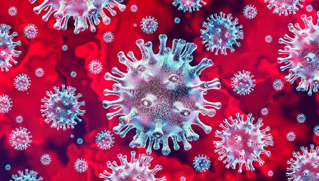 In einer aktuellen Studie, die im veröffentlicht wurde bioRxiv* Preprint-Server: Forscher untersuchten, ob das schwere akute respiratorische Syndrom Coronavirus 2 (SARS-CoV-2) auf natürliche Weise durch eine Übertragung vom Tier auf den Menschen oder synthetisch während Forschungsexperimenten zum Coronavirus (CoV) entstanden ist. Studie: Endonuklease-Fingerabdruck weist auf einen synthetischen Ursprung von SARS-CoV-2 hin. Bildnachweis: Lightspring/Shutterstock *Wichtiger Hinweis: bioRxiv veröffentlicht vorläufige wissenschaftliche Berichte, die nicht von Experten begutachtet werden und daher nicht als schlüssig angesehen werden sollten, als Leitfaden für die klinische Praxis/gesundheitsbezogenes Verhalten dienen oder als etablierte Informationen behandelt werden sollten. Forscher nutzen häufig die Methode der In-vitro-Genomassemblierung (IVGA), um CoV-Varianten im &hellip;