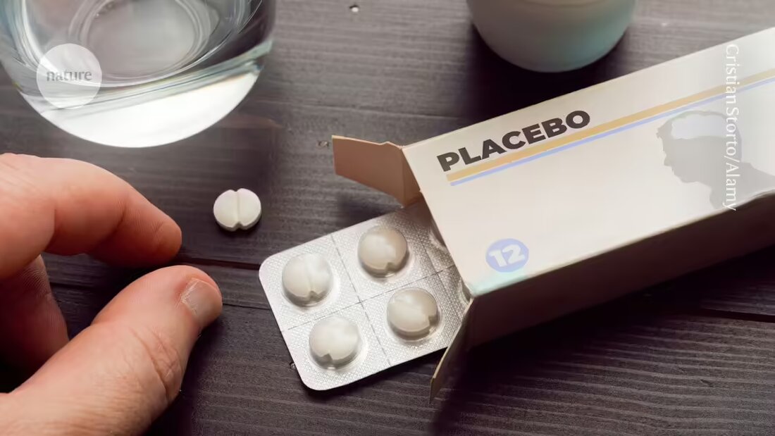 Neurobiologen haben in einer neuen Studie ein Verständnis für den Placebo-Effekt entwickelt, indem sie zeigen, wie bestimmte Hirnregionen mit der Schmerzlinderung durch den Glauben an einen Placebo in Verbindung gebracht werden können. Die Erforschung dieser neuronalen Schaltkreise könnte zu neuen Ansätzen für die Schmerztherapie führen.