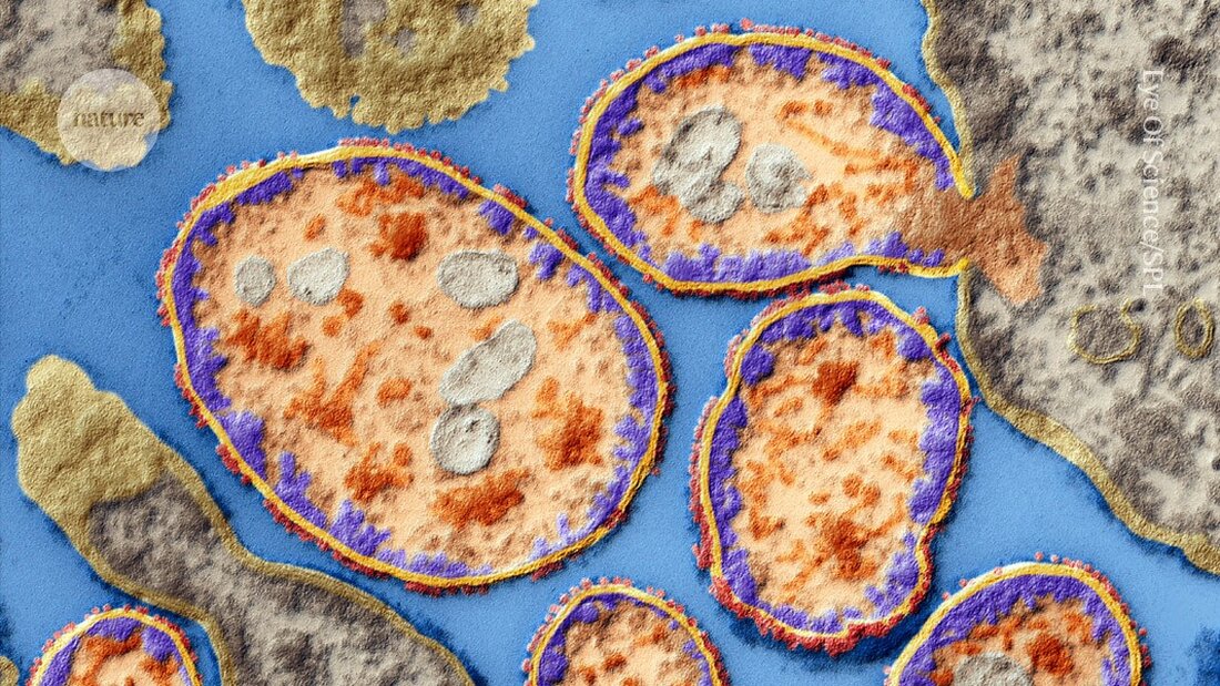 Eine Virologin behandelte erfolgreich ihren Brustkrebs mit im Labor gezogenen Viren und wirft ethische Fragen zur Selbstexperimentation auf.