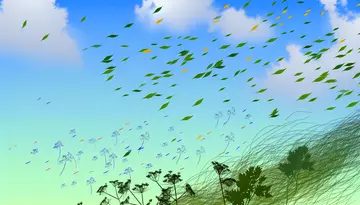 Kräuter bei Wetterfühligkeit