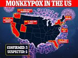 CDC fordert Amerikaner, die ins Ausland reisen, dringend auf, „verstärkte Vorsichtsmaßnahmen“ gegen Affenpocken zu treffen – einschließlich der Vermeidung kranker Menschen und Tiere: Utah bestätigt zwei Fälle des Virus, was die bestätigte US-Gesamtzahl auf DREI erhöht