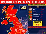 Der Ausbruch der Affenpocken in Großbritannien überschreitet 1.000 Fälle: Meilenstein erreicht, da sich das Virus weiterhin unter Schwulen und Bi-Männern ausbreitet – aber das düstere Modell warnt vor Weihnachten vor 60.000 Fällen pro Tag