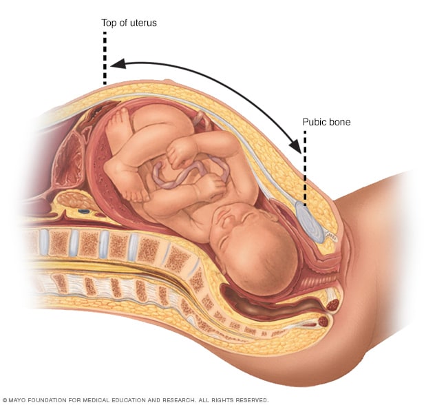 Messung der Fundushöhe während der Schwangerschaft