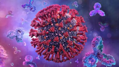 Studie zeigt, dass das Altern die Immunantwort und die Virusdynamik bei COVID-19-Patienten beeinflusst
