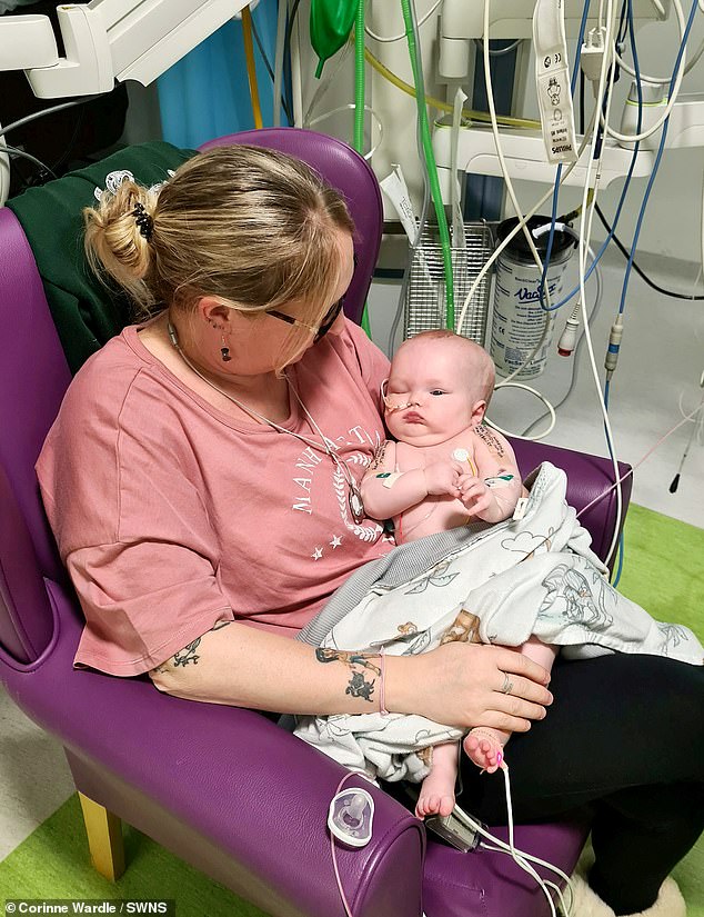Ihre besorgte Mutter, Corinne Wardle, 37, (im Bild) brachte ihre Tochter in den folgenden Wochen zu zwei Arztterminen, aber Molly Mais Symptome wurden von den Ärzten als „normales Babyzeug“ abgetan.