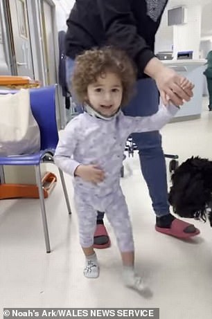 Alice wurde in die Notaufnahme des Universitätskrankenhauses von Wales gebracht, wo die Ärzte feststellten, dass ihre Wirbelsäule beschädigt war, und befürchteten, sie würde nie wieder gehen