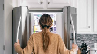 Was ist „Food Noise“?  Wie Drogen wie Ozempic und Wegovy obsessive Gedanken über Essen stillen