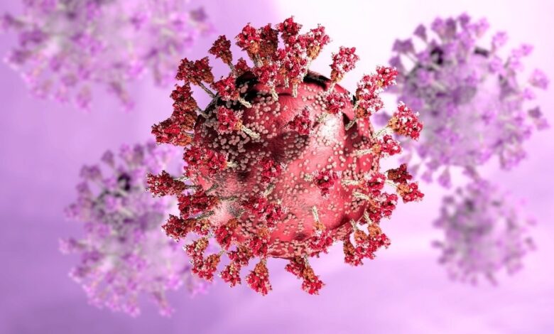 Study: Structural basis for mouse receptor recognition by SARS-CoV-2 omicron variant. Image Credit: Naeblys/Shutterstock