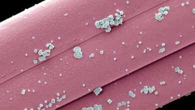 Biologisch abbaubare Transport-Nanopartikel können entzündungshemmende Medikamente wirksamer und weniger toxisch machen