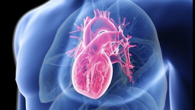 Patienten mit einem schwächenden Herzleiden könnten durch ein bionisches Klappenimplantat größere Operationen erspart werden.  Das neue JenaValve Trilogy-Gerät, das einen Metallrahmen und eine Klappe vom Schwein hat, kann während eines minimal-invasiven Eingriffs angepasst werden, der weniger als eine Stunde dauert.  (Dateibild)
