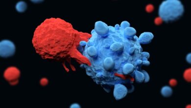 Study: CAR T-cells for colorectal cancer immunotherapy: Ready to go? Image Credit: Meletios Verras/Shutterstock