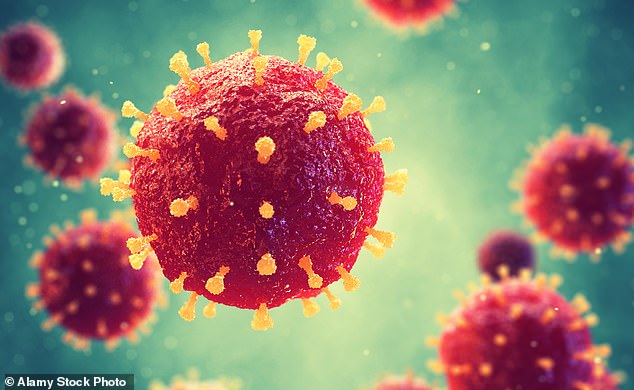 Neun Kinder – alle unter sechs Jahren – sind seit Oktober an schweren Fällen der entzündlichen Lebererkrankung erkrankt.  Es wird angenommen, dass das Adenovirus hinter den mysteriösen Hepatitis-Fällen steckt (Bild: Ein Stock-Bild eines Virus)