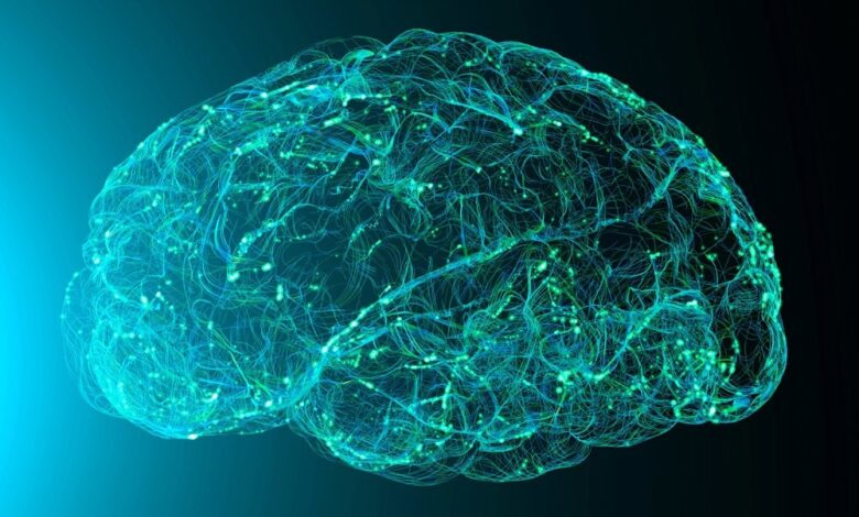 Study: Horizons in Human Aging Neuroscience: From Normal Neural Aging to Mental (Fr)Agility. Image Credit: Naeblys / Shutterstock.com