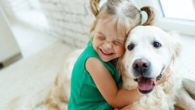 Study: Dog ownership in infancy is protective for persistent wheeze in 17q21 asthma-risk carriers. Image Credit: Nina Buday/Shutterstock