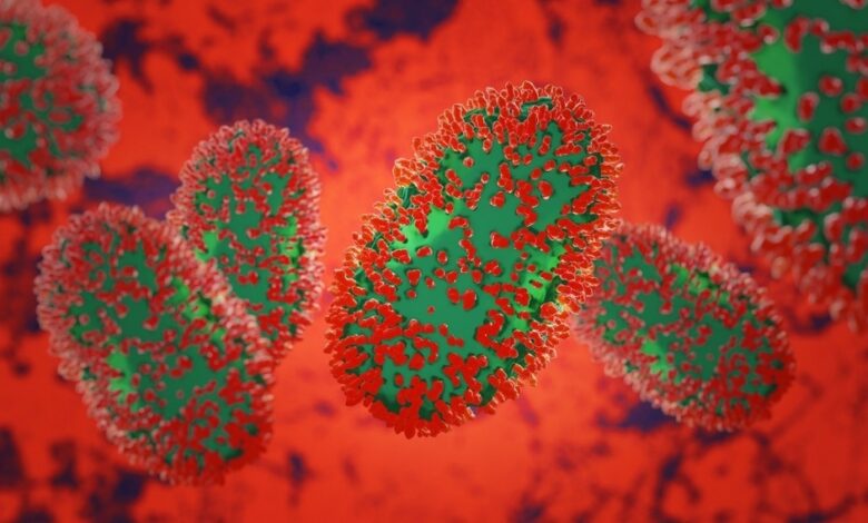 Study: A Distinct Phylogenetic Cluster of Monkeypox Genomes Suggests an Early and Cryptic Spread of the Virus. Image Credit: joshimerbin / Shutterstock.com