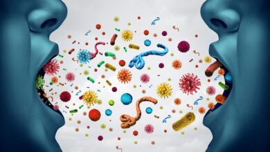 Study: Global airborne bacterial community—interactions with Earth’s microbiomes and anthropogenic activities. Image Credit: Lightspring / Shutterstock