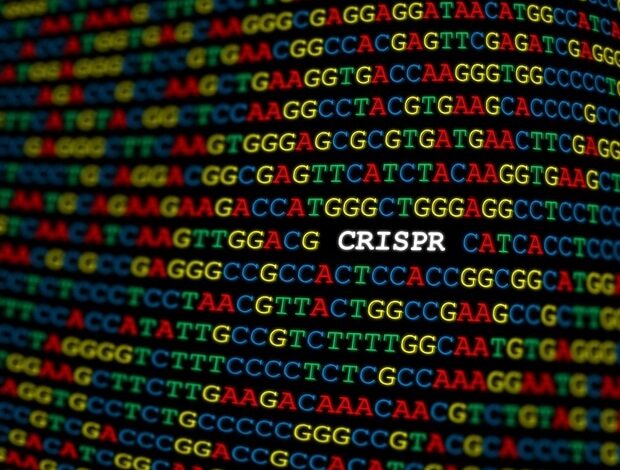 Die Behandlung mit CRISPR Genome Editing lindert Schwellungsattacken bei Patienten mit hereditärem Angioödem