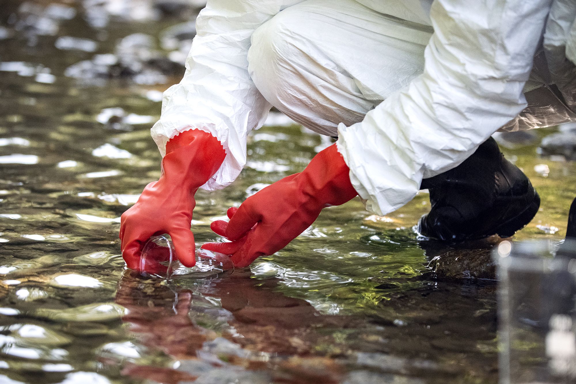 Die EPA geht hart gegen PFAS im Trinkwasser vor.  Folgendes sollten Sie über diese „Forever Chemicals“ wissen