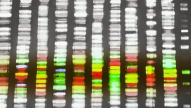 Eine Chromosomen-Microarray-Analyse könnte helfen, die Ursache von SIDS oder SUDC bei älteren Kindern zu identifizieren