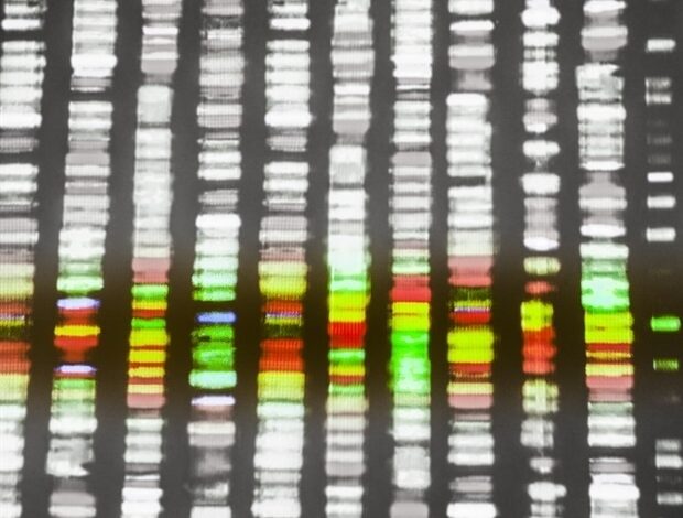 Eine Chromosomen-Microarray-Analyse könnte helfen, die Ursache von SIDS oder SUDC bei älteren Kindern zu identifizieren