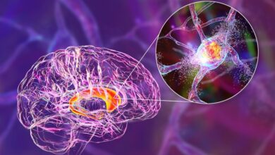 Erforschung neuer therapeutischer Ziele und Biomarker für neurodegenerative Erkrankungen