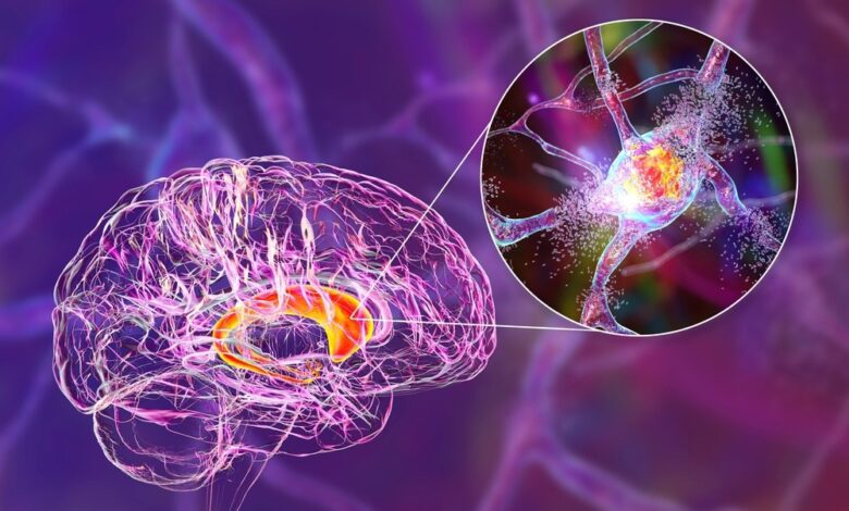 Erforschung neuer therapeutischer Ziele und Biomarker für neurodegenerative Erkrankungen