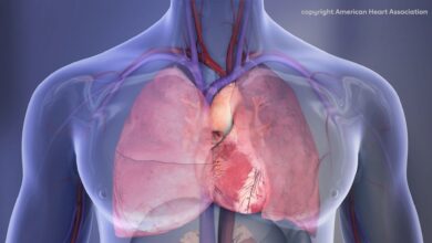 Study: EKG Appearance and Evolution of Baseline EKG-Characteristics in the Worldwide First Genetically Modified Porcine-to-Human Xenotransplant (“Pig Heart-in-Human Body”). Image Copyright: American Heart Association