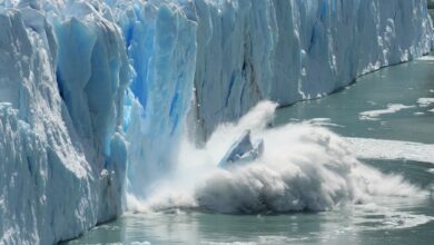 Study: Viral spillover risk increases with climate change in High Arctic lake sediments. Image Credit: Bernhard Staehli/Shutterstock