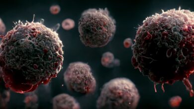 Study: Transient cell-in-cell formation underlies tumor relapse and resistance to immunotherapy. Image Credit: CI Photos/Shutterstock