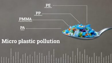 Study: The Association Between Microplastics and Microbiota in Placentas and Meconium: The First Evidence in Humans. Image Credit: SIVStockStudio / Shutterstock
