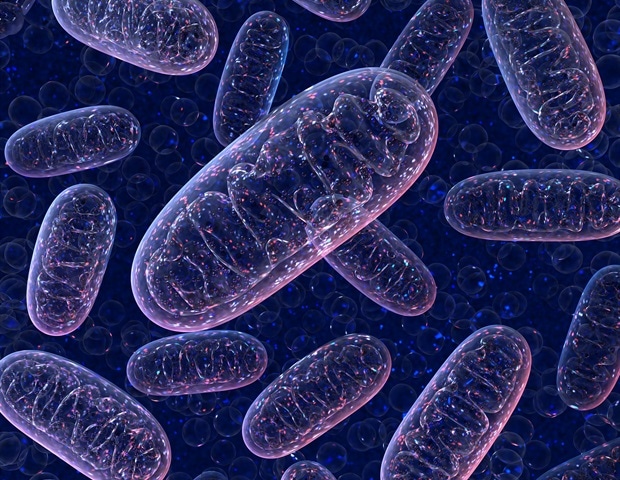 Forscher identifizieren eine bisher unbekannte mitochondriale Erkrankung bei eineiigen Zwillingen