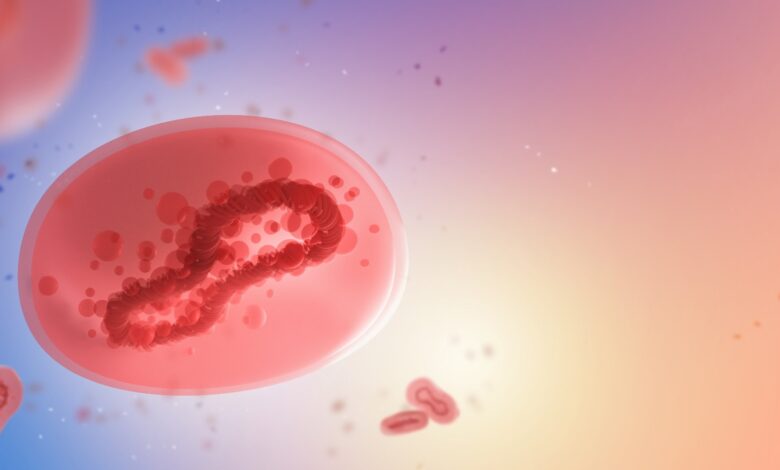 Study: Viral loads in clinical samples of men with monkeypox virus infection: a French case series. Image Credit: FOTOGRIN/Shutterstock