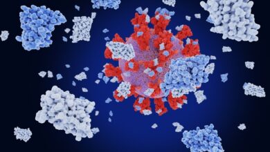 Study: Biparatopic nanobodies targeting the receptor binding domain efficiently neutralise SARS-CoV-2. Image Credit: Juan Gaertner/Shutterstock