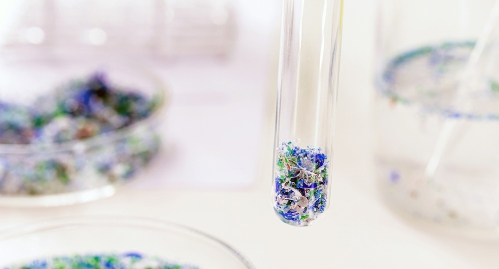 Studie: Abgrenzung biologischer Wirkungen von primären Nanokunststoffen von Zusatzstoffen in Dispersionsfarben. Bildnachweis: RHJPhotos / Shutterstock.com