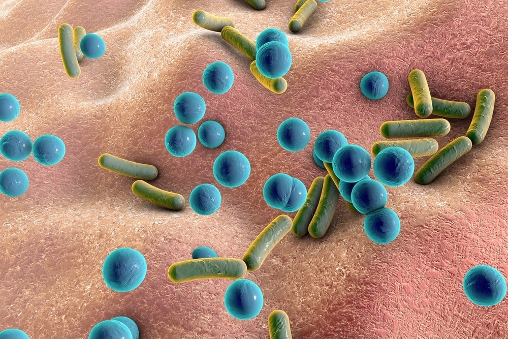 Studie: Ein neues Modell zur Untersuchung der Auswirkungen von Kosmetika auf Hautmikroorganismen in vitro. Bildnachweis: Kateryna Kon / Shutterstock.com